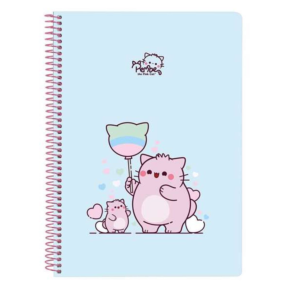 Exercise books, note blocks and diaries