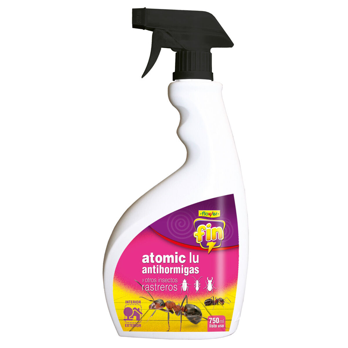 Ants